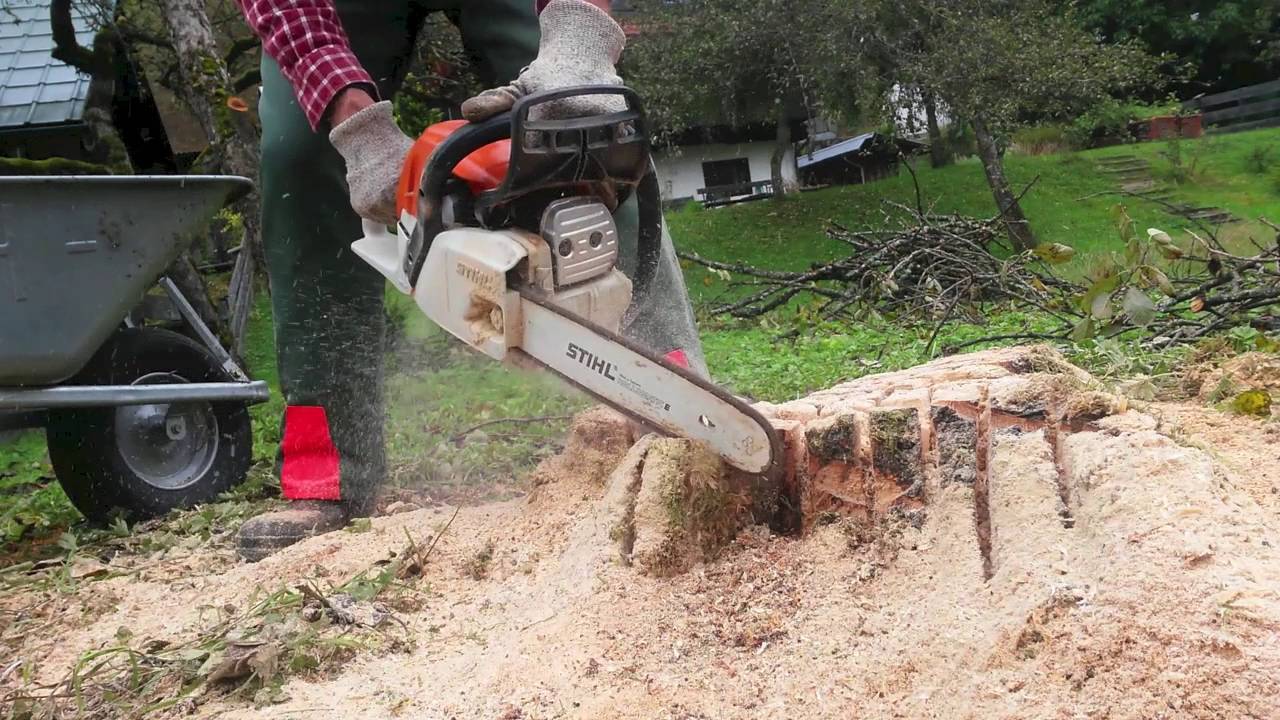 Stump Removal-Jupiter-Tequesta Tree Trimming and Tree Removal Services-We Offer Tree Trimming Services, Tree Removal, Tree Pruning, Tree Cutting, Residential and Commercial Tree Trimming Services, Storm Damage, Emergency Tree Removal, Land Clearing, Tree Companies, Tree Care Service, Stump Grinding, and we're the Best Tree Trimming Company Near You Guaranteed!