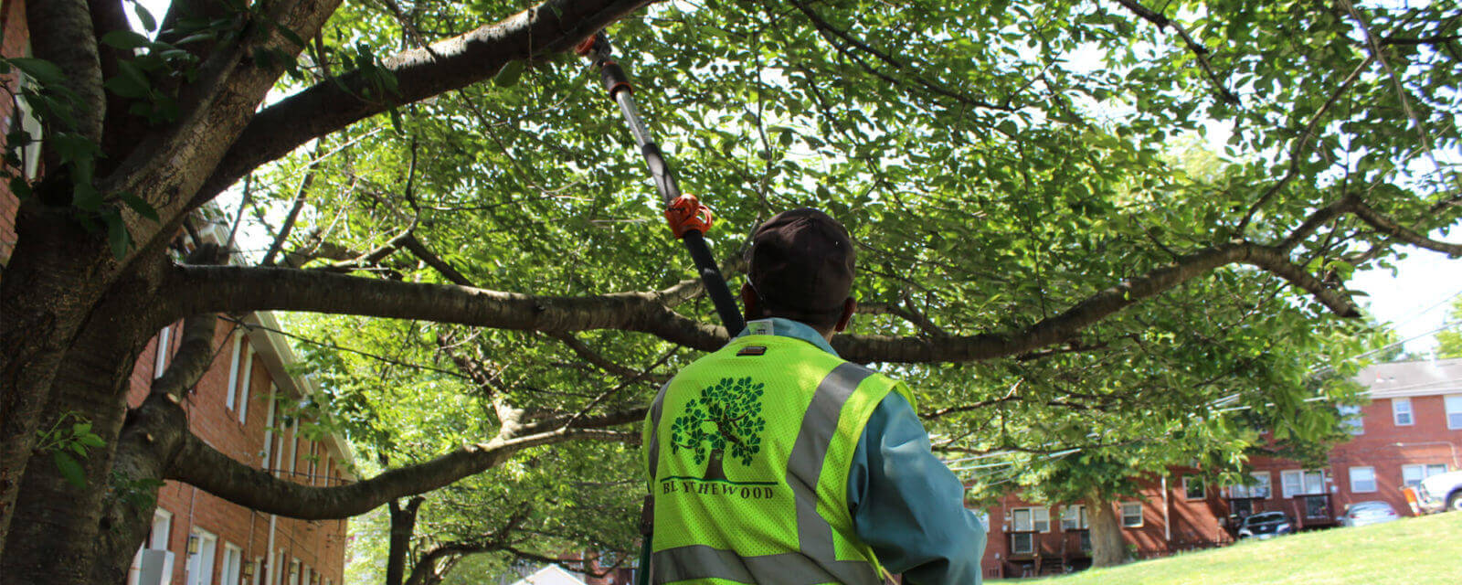 Tree Doctor-Jupiter-Tequesta Tree Trimming and Tree Removal Services-We Offer Tree Trimming Services, Tree Removal, Tree Pruning, Tree Cutting, Residential and Commercial Tree Trimming Services, Storm Damage, Emergency Tree Removal, Land Clearing, Tree Companies, Tree Care Service, Stump Grinding, and we're the Best Tree Trimming Company Near You Guaranteed!