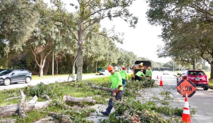 Commercial-Tree-Services-Affordable-Pro-Tree-Trimming-Removal-Team-of-Jupiter Tequesta
