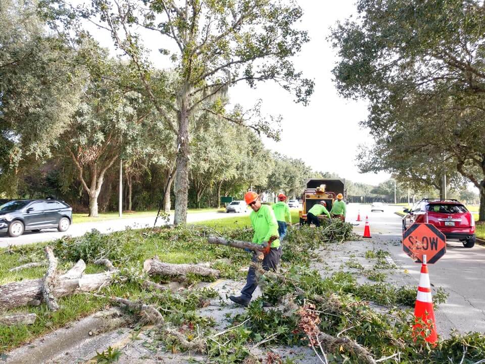 Commercial-Tree-Services-Affordable-Pro-Tree-Trimming-Removal-Team-of-Jupiter Tequesta