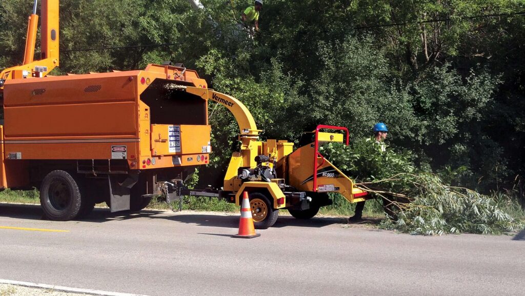 Commercial Tree Services Near Me-Pro Tree Trimming & Removal Team of Jupiter Tequesta