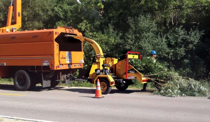 Commercial Tree Services-Pros-Pro Tree Trimming & Removal Team of Jupiter Tequesta