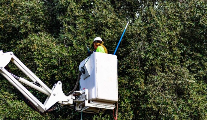 Commercial-Tree-Services-Services Pro-Tree-Trimming-Removal-Team-of-Jupiter Tequesta