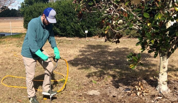 Deep Root Injection Experts-Pro Tree Trimming & Removal Team of Jupiter Tequesta