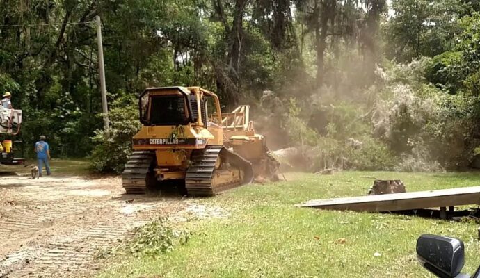 Land Clearing Experts-Pro Tree Trimming & Removal Team of Jupiter Tequesta