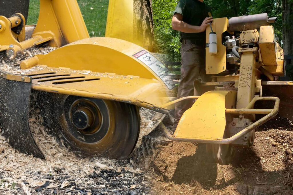 Stump Grinding & Removal Experts-Pro Tree Trimming & Removal Team of Jupiter Tequesta